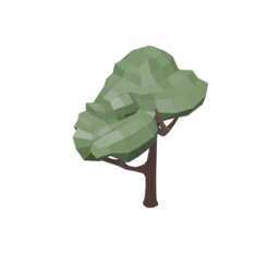 Common Tree 2